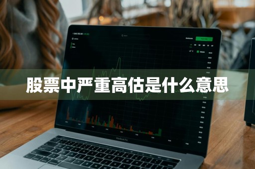 股票中严重高估是什么意思