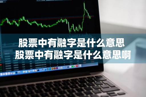 股票中有融字是什么意思 股票中有融字是什么意思啊