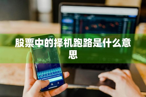 股票中的择机跑路是什么意思