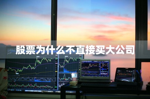 股票为什么不直接买大公司