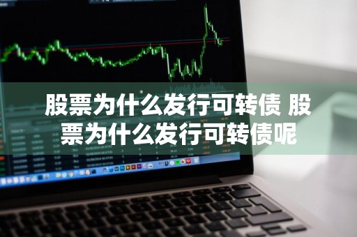 股票为什么发行可转债 股票为什么发行可转债呢