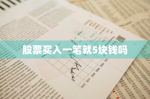 股票买入一笔就5块钱吗