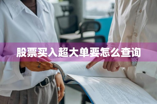 股票买入超大单要怎么查询