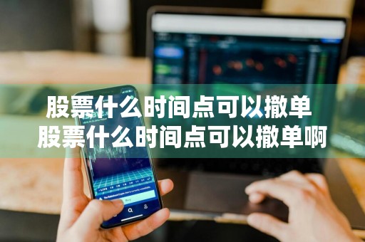 股票什么时间点可以撤单 股票什么时间点可以撤单啊