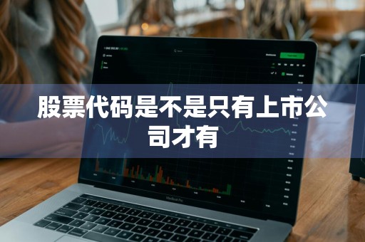 股票代码是不是只有上市公司才有