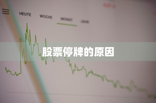 股票停牌的原因
