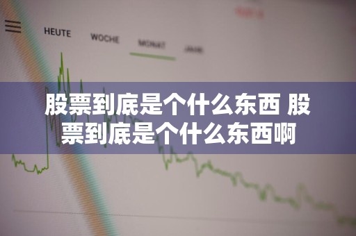 股票到底是个什么东西 股票到底是个什么东西啊
