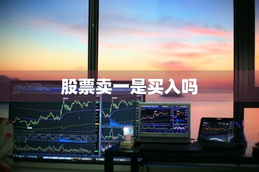 股票卖一是买入吗