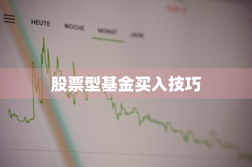股票型基金买入技巧
