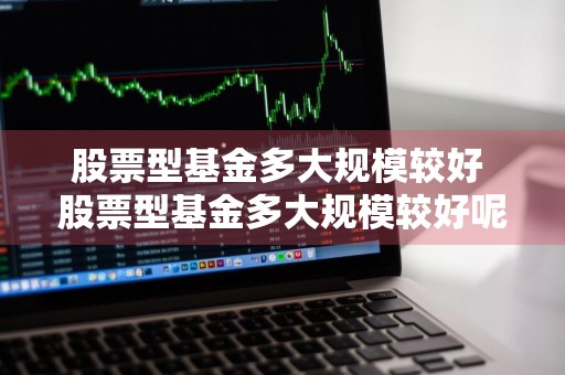 股票型基金多大规模较好 股票型基金多大规模较好呢