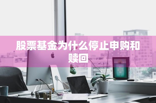 股票基金为什么停止申购和赎回