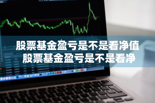 股票基金盈亏是不是看净值 股票基金盈亏是不是看净值的