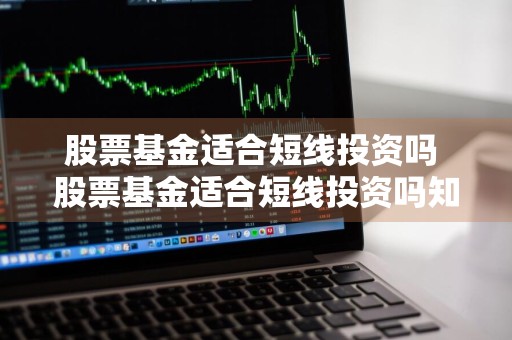 股票基金适合短线投资吗 股票基金适合短线投资吗知乎