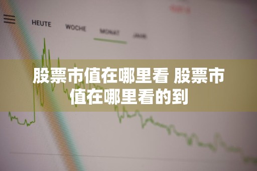 股票市值在哪里看 股票市值在哪里看的到