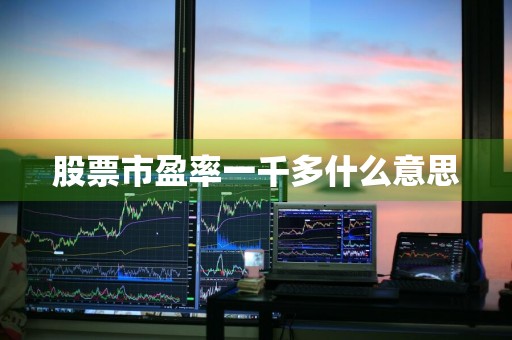 股票市盈率一千多什么意思