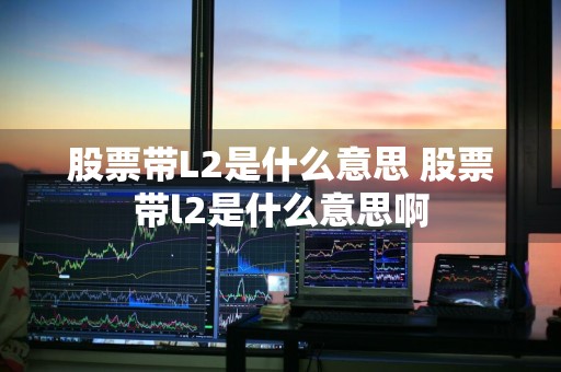 股票带L2是什么意思 股票带l2是什么意思啊