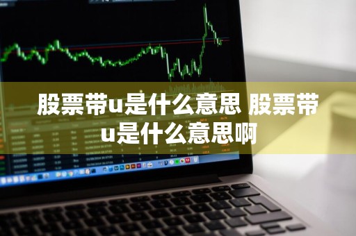 股票带u是什么意思 股票带u是什么意思啊