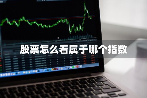 股票怎么看属于哪个指数