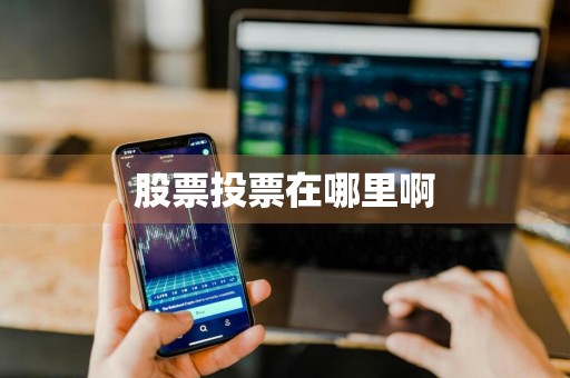 股票投票在哪里啊