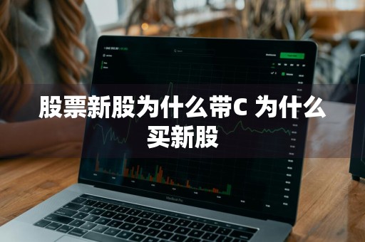 股票新股为什么带C 为什么买新股