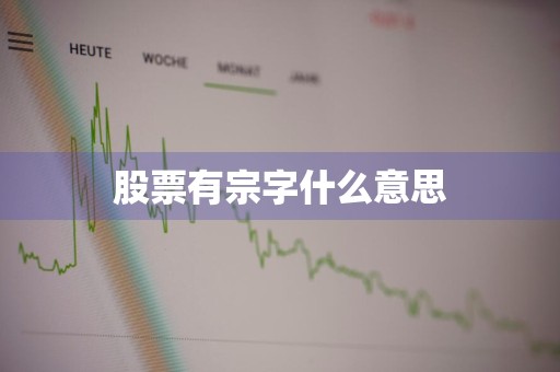 股票有宗字什么意思