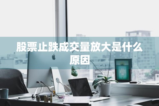 股票止跌成交量放大是什么原因