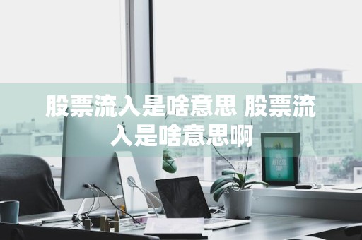 股票流入是啥意思 股票流入是啥意思啊