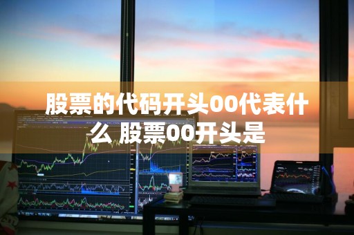 股票的代码开头00代表什么 股票00开头是