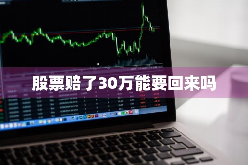 股票赔了30万能要回来吗