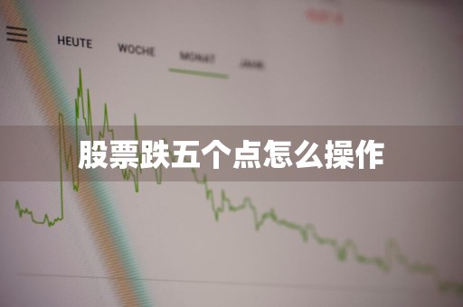 股票跌五个点怎么操作