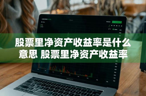 股票里净资产收益率是什么意思 股票里净资产收益率是什么意思啊