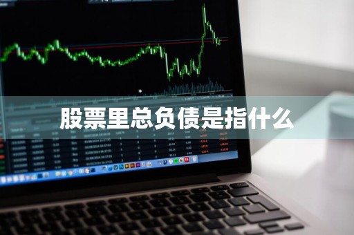 股票里总负债是指什么