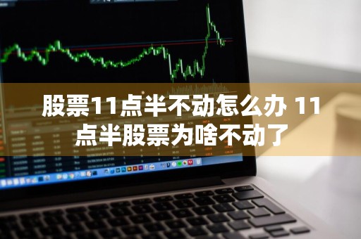 股票11点半不动怎么办 11点半股票为啥不动了