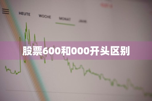 股票600和000开头区别