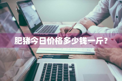 肥猪今日价格多少钱一斤？