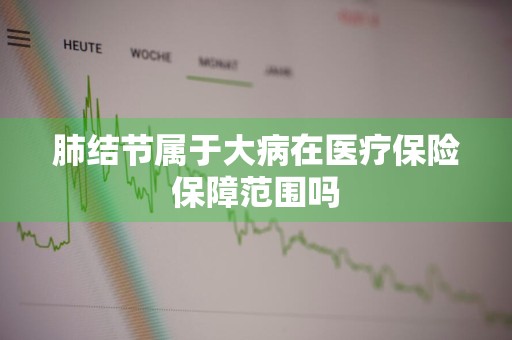 肺结节属于大病在医疗保险保障范围吗