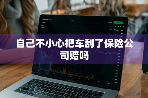 自己不小心把车刮了保险公司赔吗