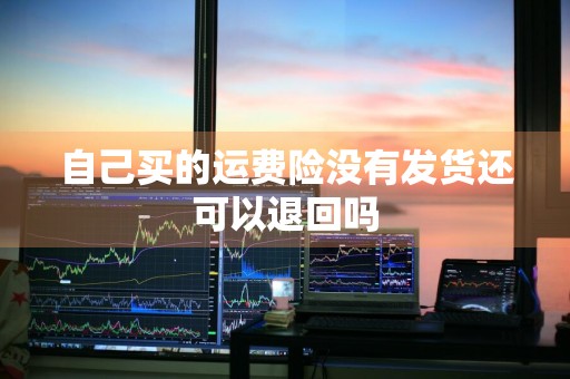 自己买的运费险没有发货还可以退回吗