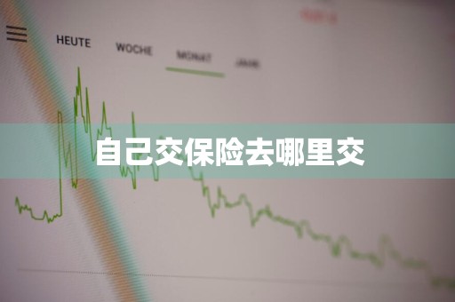 自己交保险去哪里交