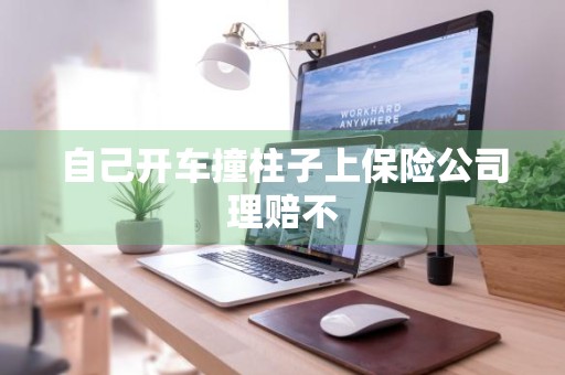 自己开车撞柱子上保险公司理赔不