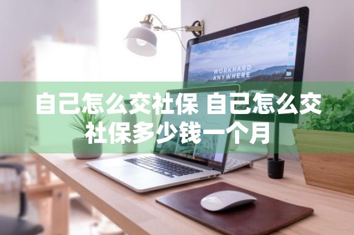 自己怎么交社保 自己怎么交社保多少钱一个月