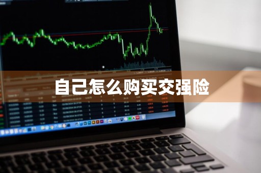 自己怎么购买交强险