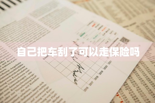 自己把车刮了可以走保险吗
