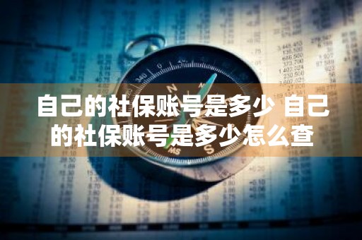 自己的社保账号是多少 自己的社保账号是多少怎么查