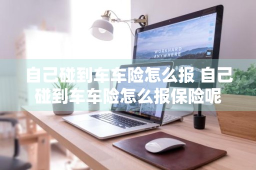自己碰到车车险怎么报 自己碰到车车险怎么报保险呢