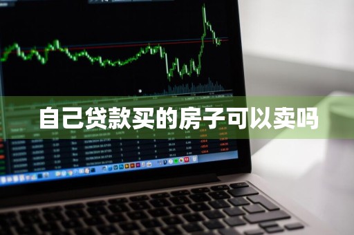 自己贷款买的房子可以卖吗