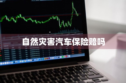 自然灾害汽车保险赔吗