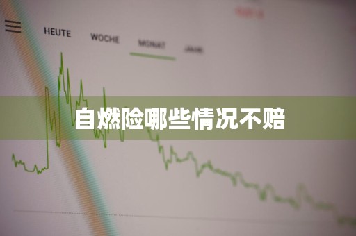 自燃险哪些情况不赔
