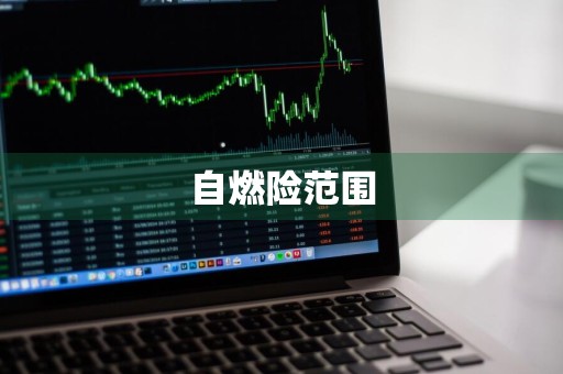 自燃险范围