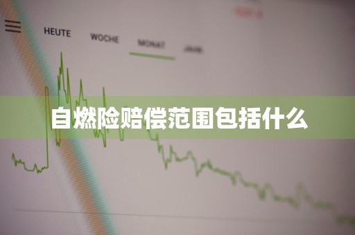 自燃险赔偿范围包括什么